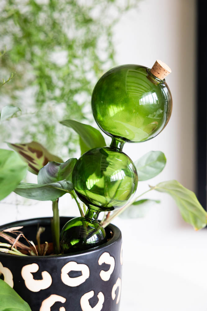 glass plant watering globes uk Green Glass Self-Watering Pipette