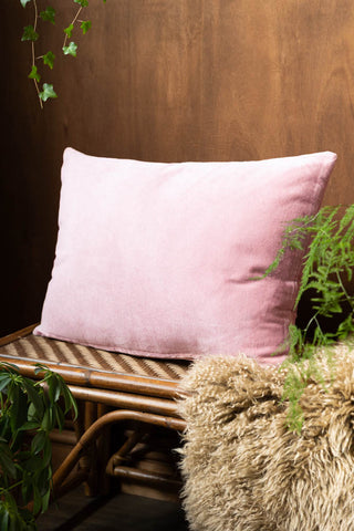 Lifestyle image of the HKLIVING Dusky Pink Velvet Cushion
