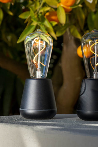 The Humble - Outdoor Cable-Free Mood Lighting in Black displayed outdoors by an orange tree.