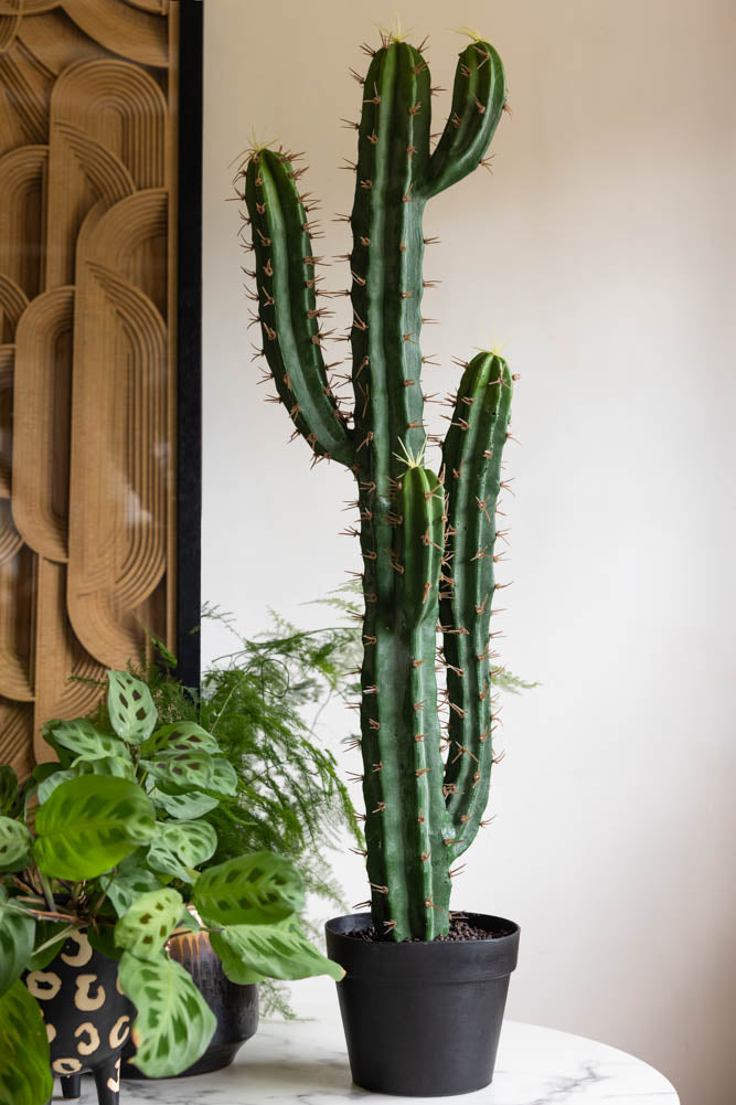 cactus plants inside house Large Faux Cactus Plant