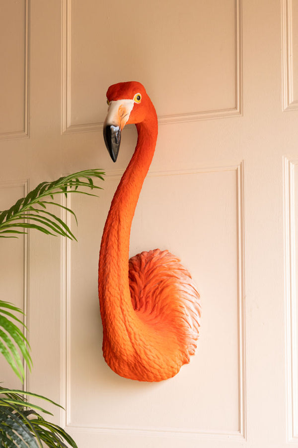 The Large Faux Flamingo Head Wall Art displayed on a light panelled wall next to a plant.