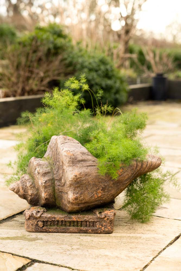 The Large Shell Planter styled with a plant inside on an outdoor patio.