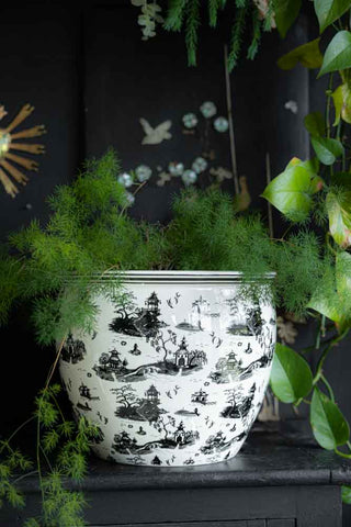 Lifestyle image of the Large Willow Toile Planter