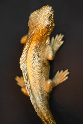 Close-up image of the Gold Lizard Table/Wall Light