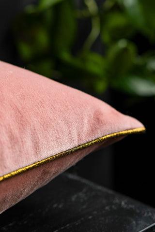 Detail of the gold piping on the Love Birds Embroidered Pink Velvet Cushion