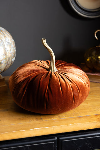 Medium Rust Velvet Pumpkin shown against black walls on an apothecary cabinet. 