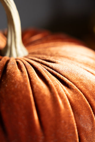 Detail of the velvet on the Medium Rust Velvet Pumpkin. 