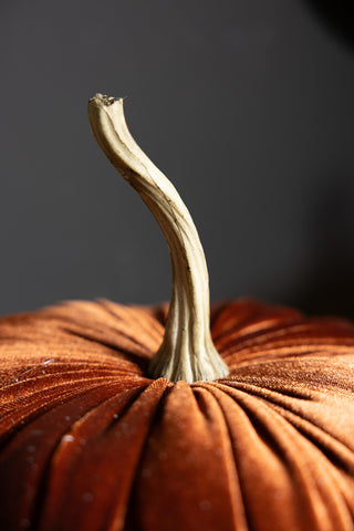 Detail of the stalk on the Medium Rust Velvet Pumpkin. 