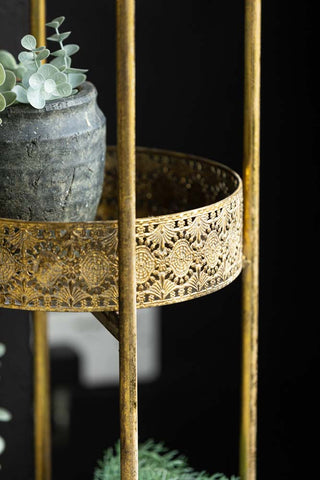 Detail image of Ornate Gold Tall Tray Shelves, styled with plants. 