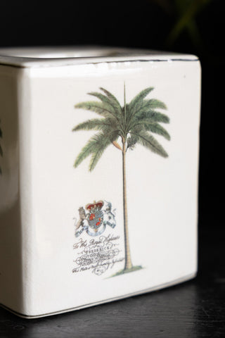 Close-up image of the Palm Tree Tissue Box
