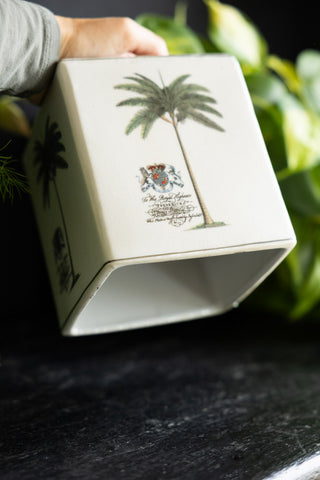 Image of the bottom of the Palm Tree Tissue Box