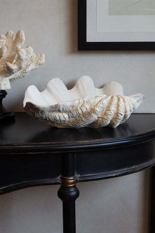 Lifestyle image of the Large White Clam Shell Display Dish displayed on a black table. 