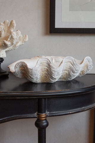 Lifestyle image of the Large White Clam Shell Display Dish displayed on a black table. 