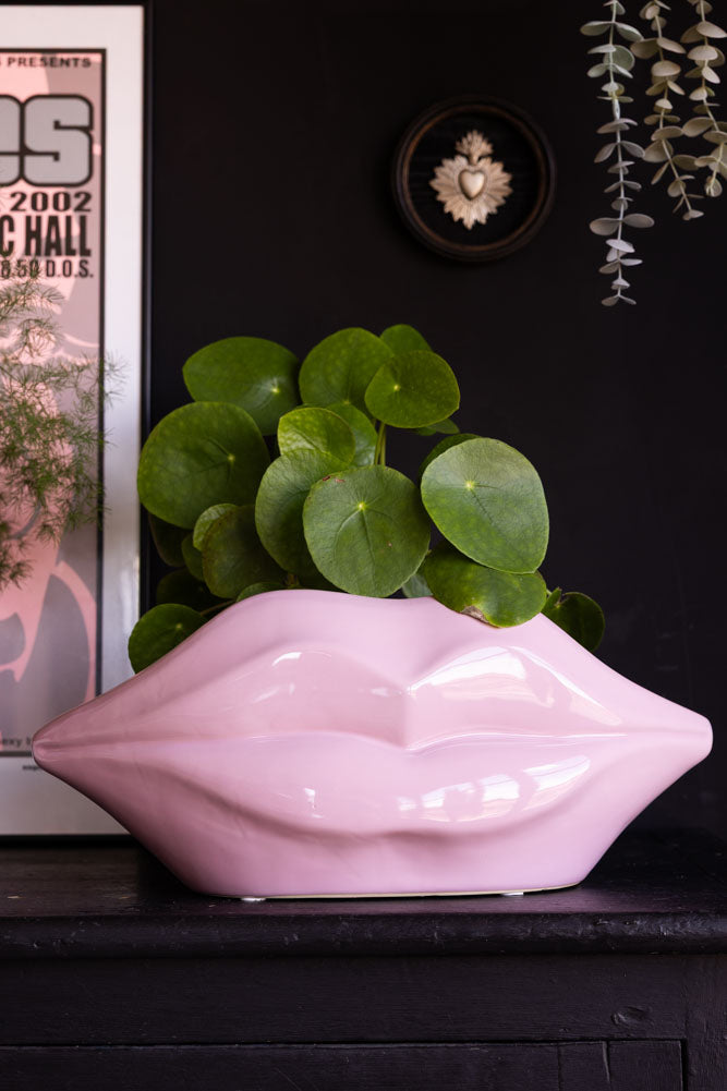 lips plant pot Pink Lips Indoor Planter