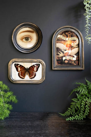 The Vintage-Style Pretty Eye Framed Wall Art styled with two other artworks, surrounded by greenery.