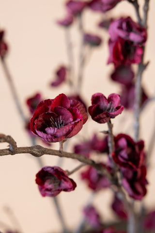 Image of the flower on the Pretty Faux Cherry Blossom Stem in Burgundy