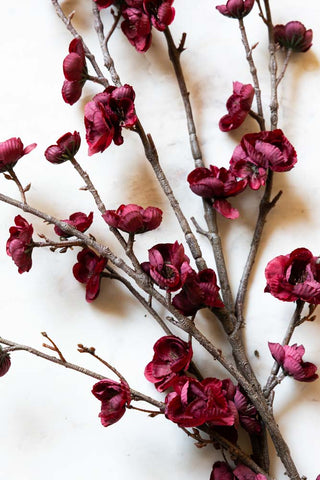 Close-up image of the Pretty Faux Cherry Blossom Stem in Burgundy