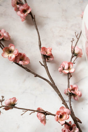 Lifestyle image of the Pretty Faux Cherry Blossom Stem in Pale Pink