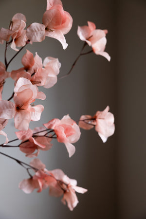 Close-up of the Pretty Pink Blossom Flower Stem.