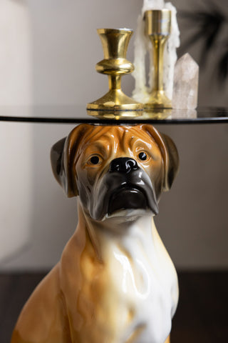 A close up of the Quirky Dog Side Table showing the dogs face and glass top. 