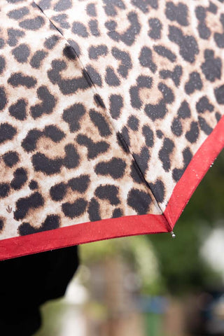 Detail of the red border of the Leopard Compact Umbrella. 