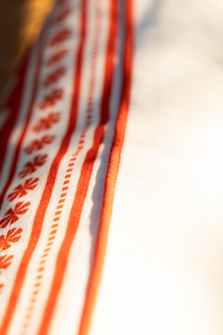 Close-up of the piping on the Red Cha Cha Cha Outdoor Cushion.
