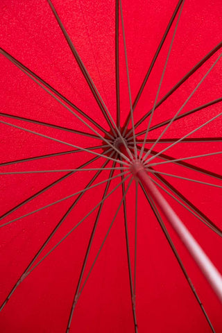 Detail image of the inside of the Red Heart Umbrella. 