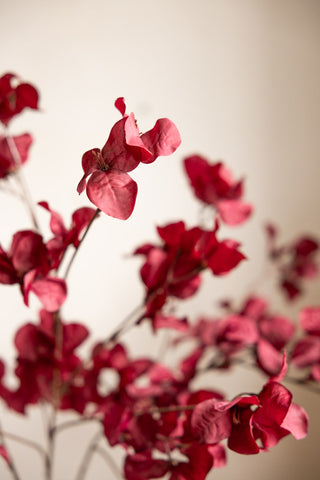 Image of the finish on the Red Ochre Beautiful Artificial Flower Stem