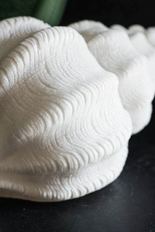 Detail image of the Sandstone Shell Table Lamp.