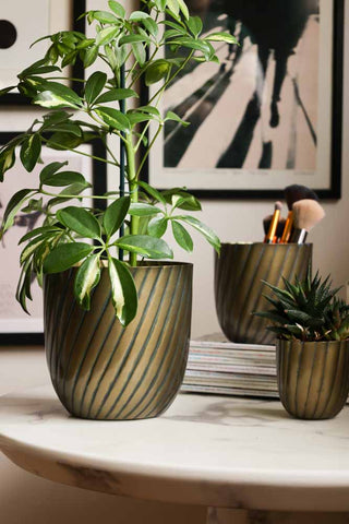 Lifestyle image of the Set Of 3 Antique Brass Grooved Planters