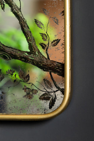 The corner detail of the Set of 3 Framed Rectangular Chinoiserie Decorative Mirrors. 