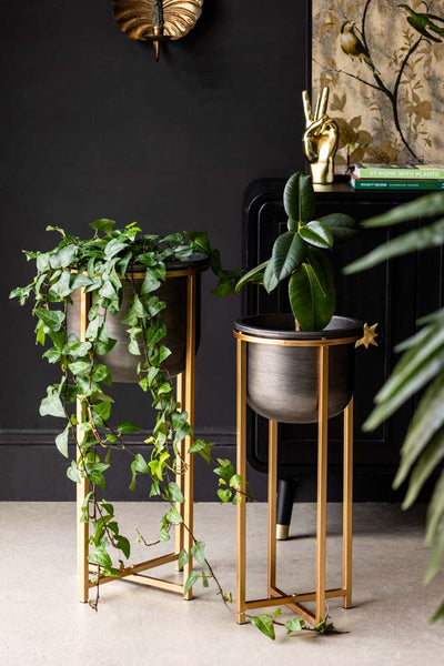 black and gold plant pot stand Set of 2 Black Planters With Gold Stand