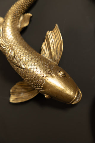 Close-up of the face of one of the Set of 2 Gold Koi Fish Wall Art, displayed on a black wall.
