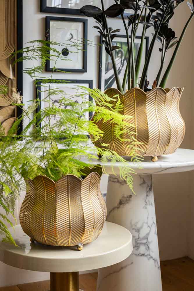 george plant pots Set of 2 Rustic Petal Planters