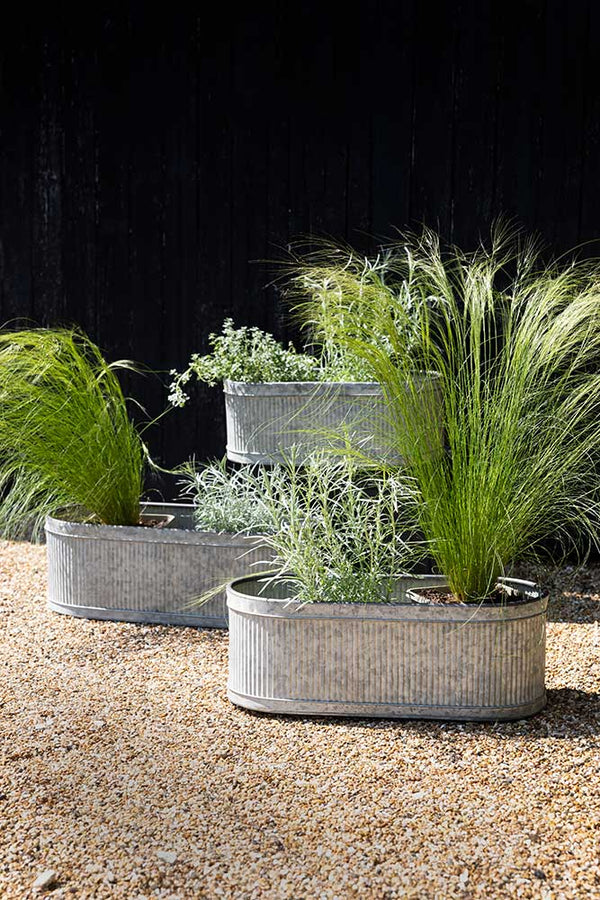 The Set of 3 Antiqued Planters displayed at different heights with various plants inside.