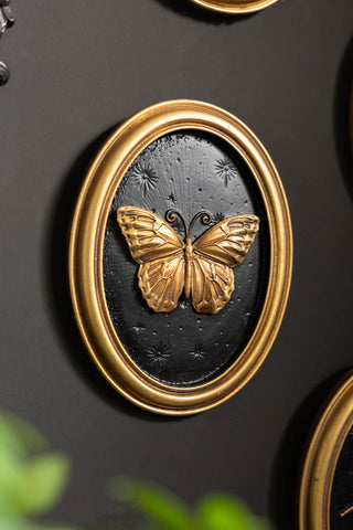 The butterfly of the Set of 4 Black & Gold Entomology Wall Art. 