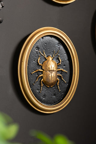 The beetle of the Set of 4 Black & Gold Entomology Wall Art. 