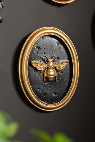 The bee of the Set of 4 Black & Gold Entomology Wall Art. 