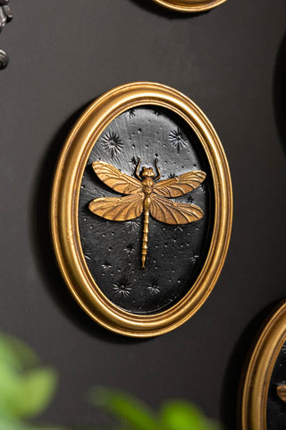 The dragonfly of the Set of 4 Black & Gold Entomology Wall Art. 