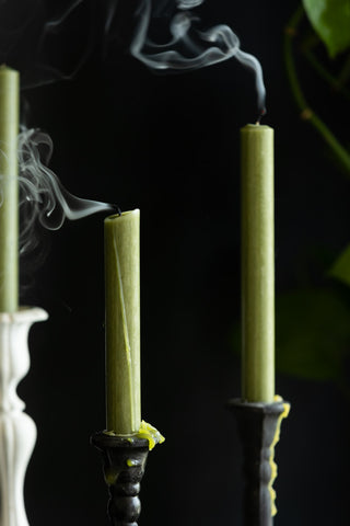 Image of the Set of 6 Dinner Candles In Olive