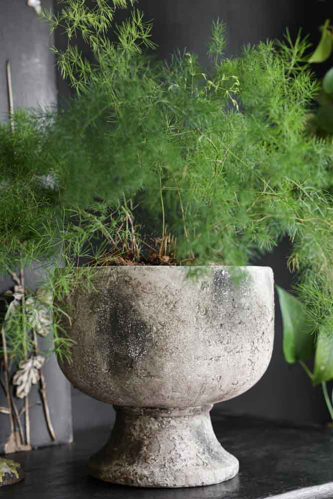 Lot De 2 Pots De Plantation Pour Pommes De Terre, Seaux De Plantation À Lot De 2 Pots De Plantation Pour Pommes De Terre, Seaux De Plantation À