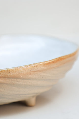 Close-up image of the Oyster Shell Dish