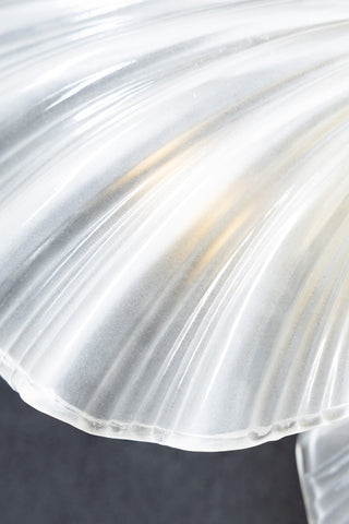 Detail image of the Stunning Glass Shell Flush Ceiling Light