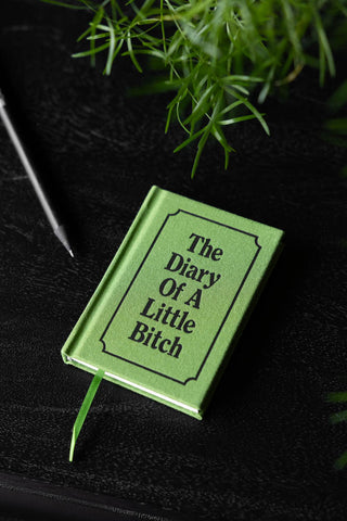 Lifestyle image of the The Diary Of A Little Bitch A7 Notebook