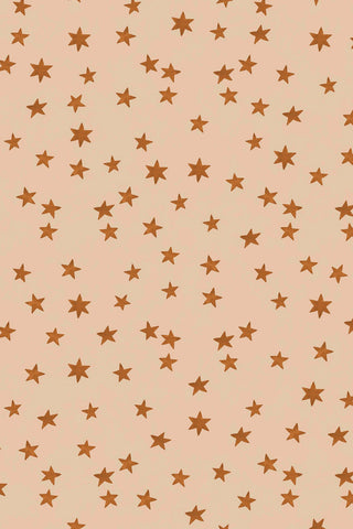 Close up of the starry pattern on The Midnight Skies Wallpaper in Ivory.