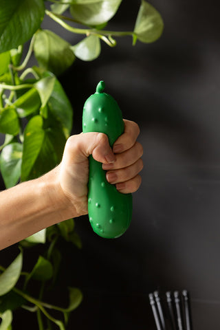 A hand holding The Stress Pickle in front of a plant and a dark wall.