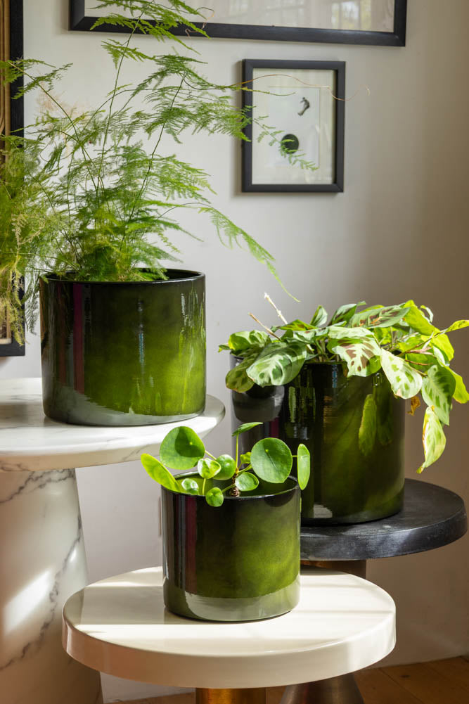 steel pot plants Vibrant Green Upcycled Steel Plant Pot - Available in 3 Sizes