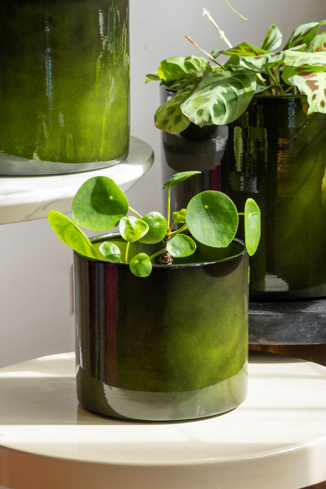 green plant pots indoor Vibrant Green Upcycled Steel Plant Pot - Available in 3 Sizes