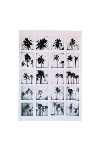 Image of the Vintage-Style Polaroid Palms A2 Art Print - Available in 4 Options on a white background