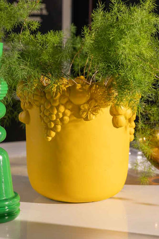Close-up image of the You're So Golden Fruits Planter